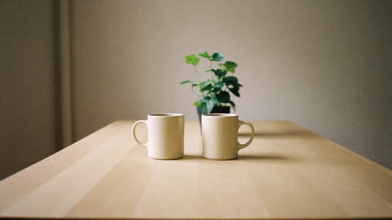 Two coffee mugs side by side on a plain wooden table next to a small potted plant